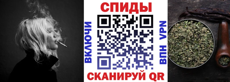 закладки  Сунжа  Бутират BDO 