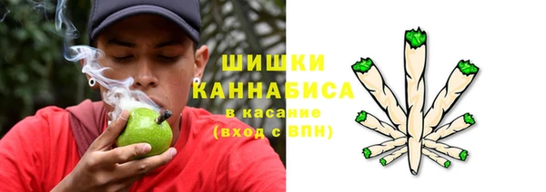 крисы Михайловск