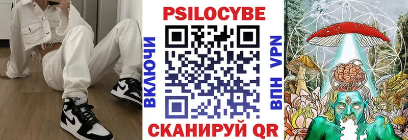 Псилоцибиновые грибы Psilocybe Сунжа