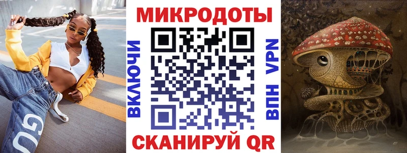 Псилоцибиновые грибы Psilocybine cubensis  Сунжа 