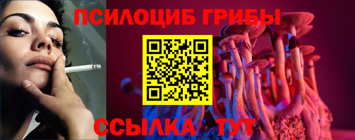 Псилоцибиновые грибы Psilocybe  где продают   Сунжа  Вход с VPN 